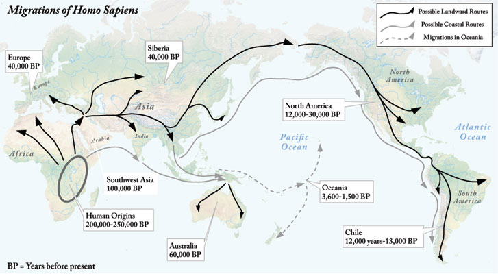 Migrations of Homo sapiens map