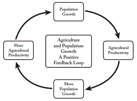 population growth history era big cities villages social humans